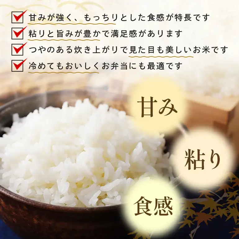 令和8年度産 こしひかり 玄米 2kg 真空パック A17-021