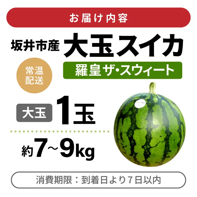 大玉スイカ 羅皇ザスウィート 1玉入り 7～9kg (大玉) 2027年7月中旬以降順次発送 すいか スイカ フルーツ [A-16210]