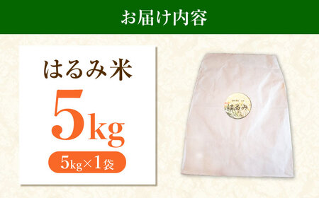 玄米 令和7年産 はるみ 5kg 玄米 [BDBF003-1]