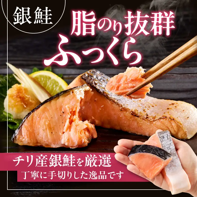 【お弁当サイズ】さわら&銀鮭 切身 計20切れ（各約50g×10切れ） 