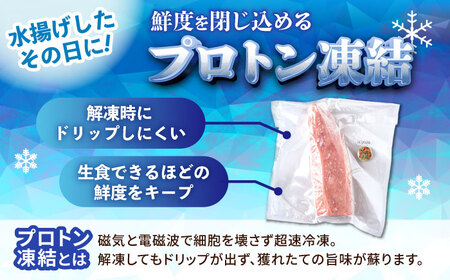 冷凍キハダマグロ 900g (300g×3パック) マグロ まぐろ 小分け 冷凍 刺身 赤身 沖縄市 / 沖縄市漁業協同組合 パヤオ直売店[BCDZ006]