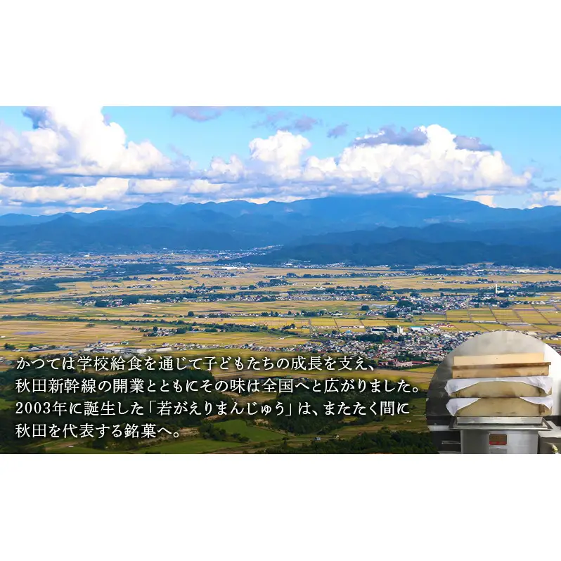 大正五年創業［お菓子の泉榮堂］若返りまんじゅう 6個入 しっとり もっちり 葛使用［第25回全国菓子大博覧会 栄誉大賞］【 和菓子 まんじゅう お菓子 スイーツ 秋田 羽後 】