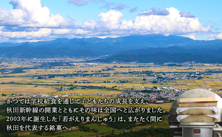 おまもり柿泉榮堂 干し柿×つぶ餡 おまもり柿【10個入】