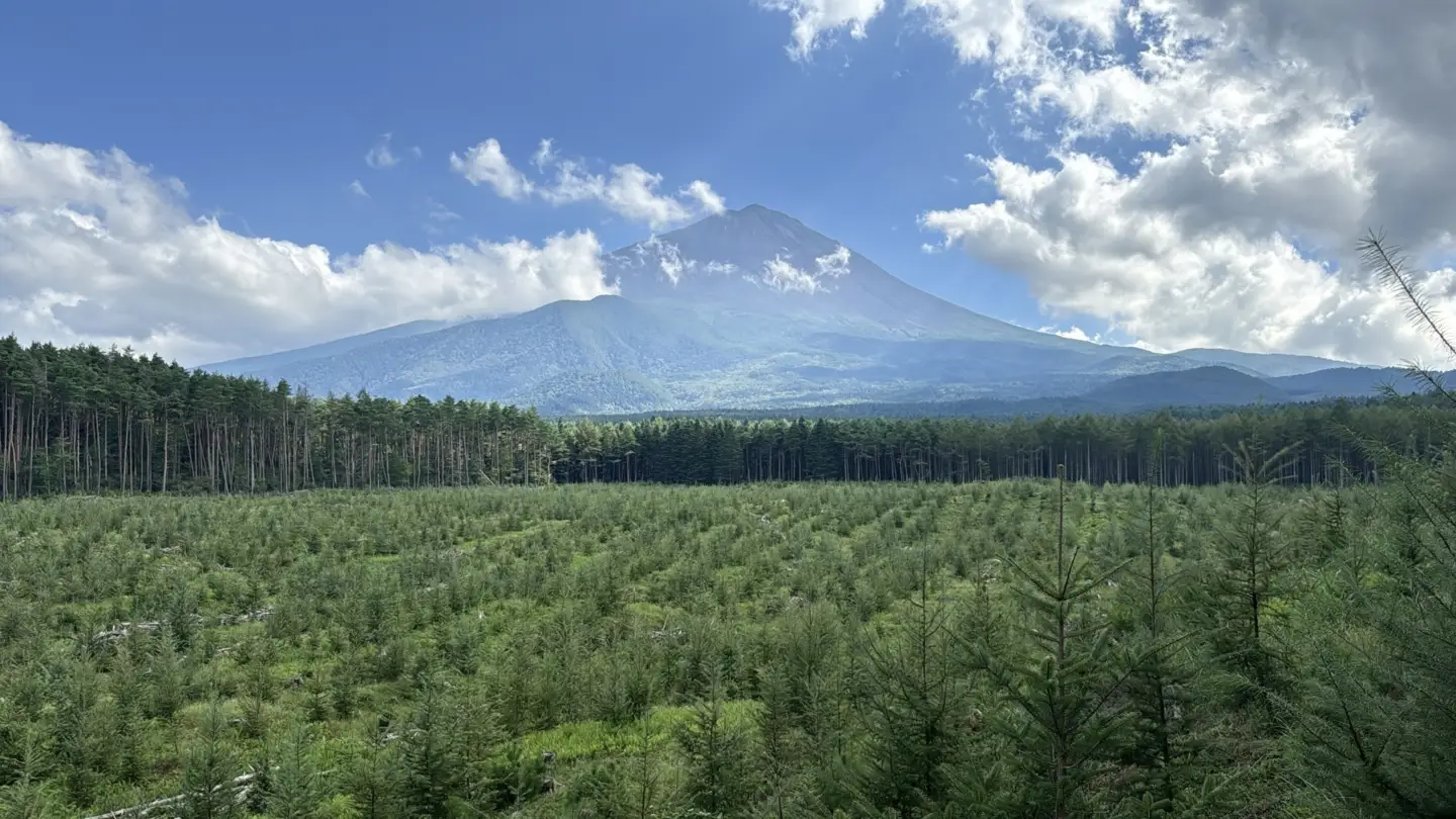 富士山の森づくり植樹代行(5本) NSAP001-b