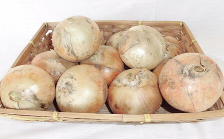 栽培期間中農薬・化学肥料不使用 くりのみ園の玉ねぎ 約9kg ［くりのみ園］2026年7月～8月頃発送 ［A-89］