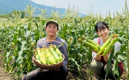 【先行予約】とうもろこし ゴールドラッシュ 5本～8本入 （ 約2kg ） フルーツコーン 甘い 野菜 トウモロコシ 冷蔵 【 2027年5月下旬～6月下旬発送予定 】