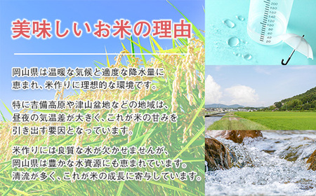 【期間限定寄附額】最高評価「特A」令和7年産 岡山県産米「 にこまる」 10kg　＜9月発送＞