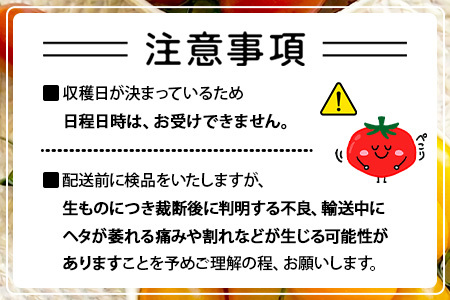岩永さんちの カラフル ミニトマト | アイコ赤･黄MIX 3kg |【農林水産大臣賞受賞】有機肥料・化学肥料不使用 | 生産者直送 野菜 トマト 3kg とまと プチトマト サラダ やさい 旬 新鮮 おやつ お弁当 人気 送料無料 佐賀県 鹿島市 D-285