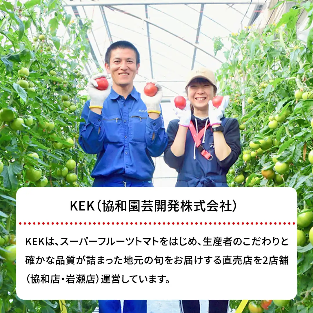 【母の日専用】 スーパーフルーツトマト てるて姫 中箱 約1.2kg ×1箱 糖度9度以上 《5月3日～9日お届け メッセージカード付》
