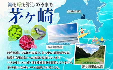 ハーブティー 湘南の雫 湘南ゴールド リーフ ハーブティー【100g】