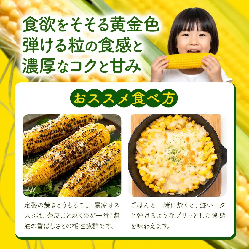 【先行予約】とうもろこし スイートコーン 約10本 約4kg のざわ農園 《2026年8月上旬-9月中旬頃出荷》