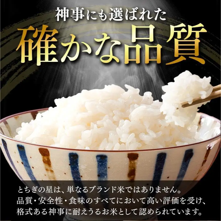 【定期便3回】パックごはん とちぎの星 栃木県矢板市産 お米 100％ 150g×20個