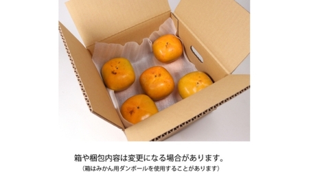 たねなし 柿 家庭用 訳あり 5kg【刀根早生・平核無柿（ひらたねなしかき）】 ｜ 柿