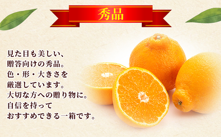 ＜秀品 不知火 (L～2Lサイズ) 約5kg＞愛媛 蜜柑 ミカン みかん 果物 フルーツ 柑橘 国産 秀品 ギフト 贈答用 しらぬひ しらぬい シラヌイ 不知火 愛媛県産 西予市産 西宇和 特産品 丸二青果 愛媛県 西予市【常温】『2026年2月～4月中旬頃までに順次出荷予定』 MMY0016