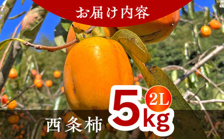 柿【数量限定40個】【秋限定！先行予約/10月上旬より順次発送】西条柿 合わせ柿 大玉2L 5kg 島根県松江市/mishiro farm[ALIJ005]