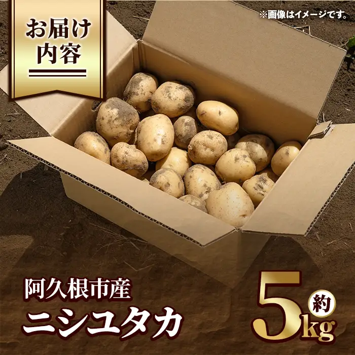 ＜先行予約受付中！2026年12月以降順次発送予定＞じゃがいも ニシユタカ(5kg) 国産 鹿児島県産 阿久根市産 じゃがいも ジャガイモ 芋 ポテト にしゆたか 野菜 期間限定 数量限定 ポテトサラダ コロッケ 常温 常温配送 【慶越農園】akn107-09