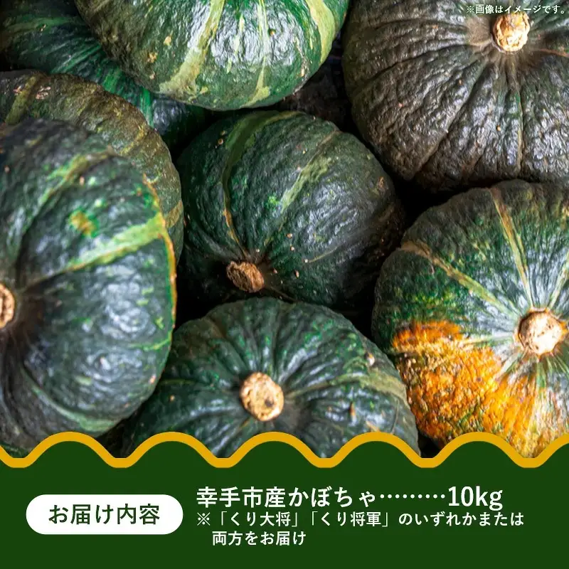 【きあり農園】2026年度 幸手市産 かぼちゃ 約10kg - カボチャ 南瓜 くり大将 くり将軍 産地直送