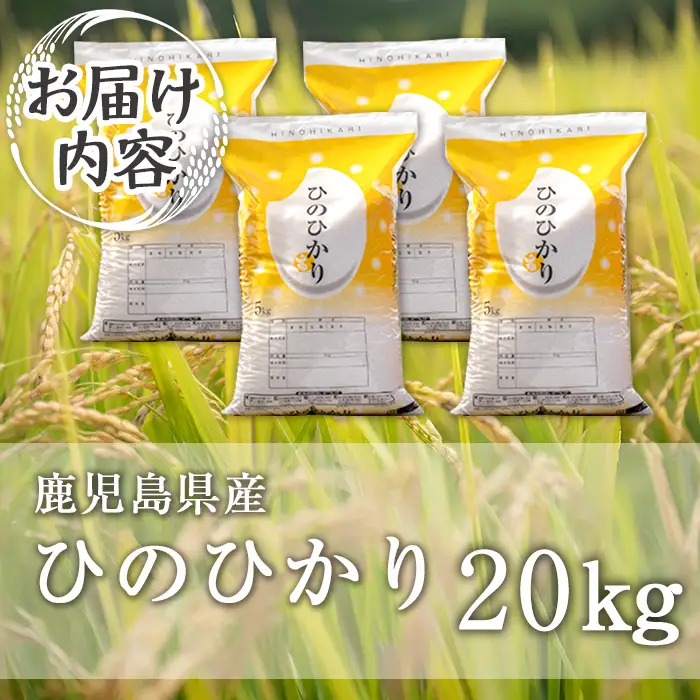 isa869 ＜先行予約受付中！2026年11月中旬以降順次発送＞令和8年産 新米 鹿児島県産ひのひかり(20kg) 国産 鹿児島県 米 お米 新米 白米 伊佐米 【赤崎農園】