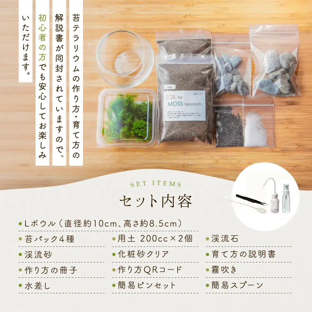 【渓流編】苔テラリウム制作キット（ツール付き）