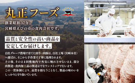 宮崎県産 豚肉 切り落とし 合計1.8kg (300g×6パック) 真空小分けパック 冷凍 国産 送料無料