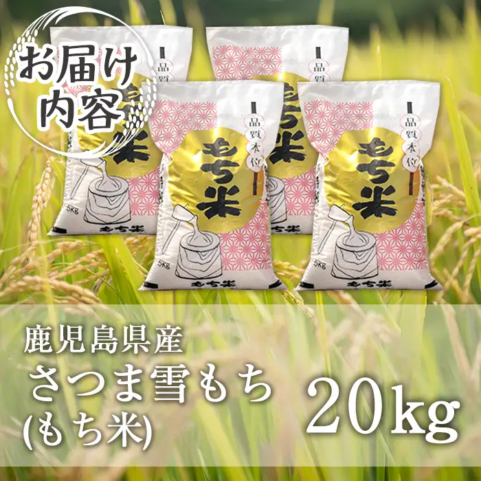 isa870 ＜先行予約受付中！2026年11月中旬以降順次発送＞令和8年産 新米 鹿児島県産もち米(20kg) 国産 鹿児島県 米 お米 新米 白米 伊佐米 【赤崎農園】