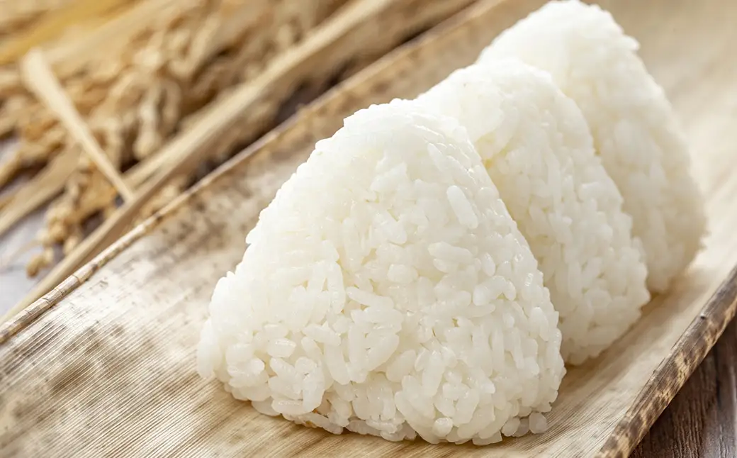 【令和8年産・先行予約】青森県産まっしぐら精米　5kg　【02408-0149】