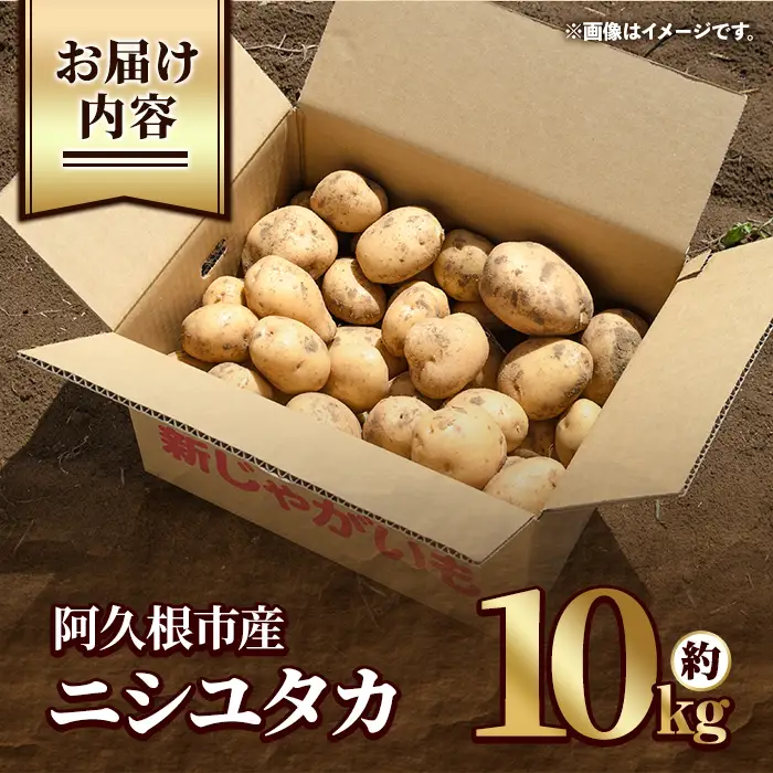 ＜先行予約受付中！2026年12月以降順次発送予定＞じゃがいも ニシユタカ(10kg) 国産 鹿児島県産 阿久根市産 じゃがいも ジャガイモ 芋 ポテト にしゆたか 野菜 期間限定 数量限定 ポテトサラダ コロッケ 常温 常温配送 【慶越農園】akn107-10