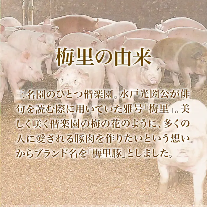 746 豚肉 2㎏ 国産 ブランド豚 梅里豚 ひき肉 500g×4パック