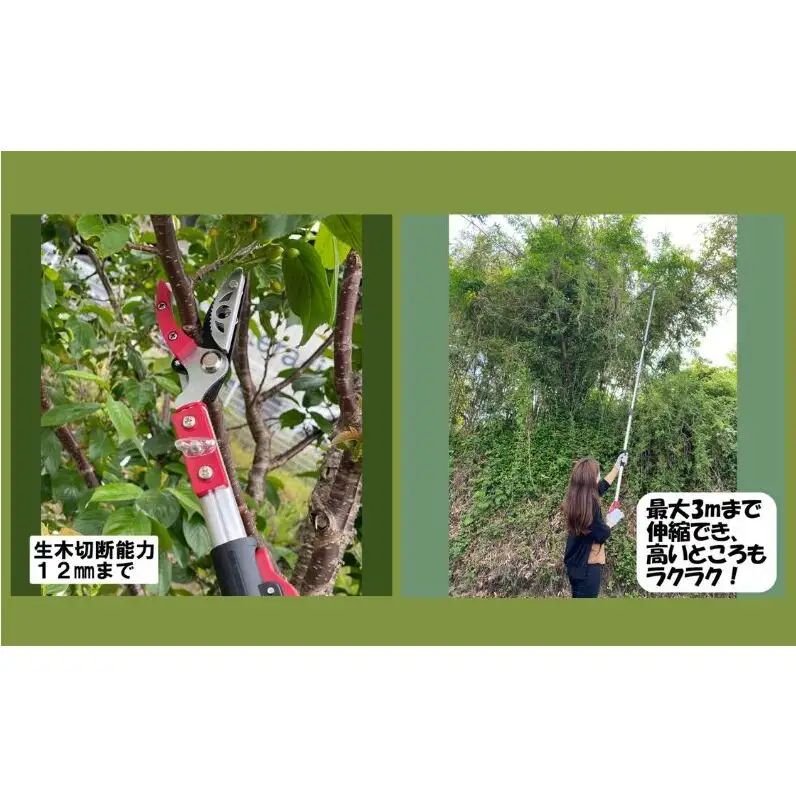 剪定 高枝切鋏 3段 DG-002R4 剪定