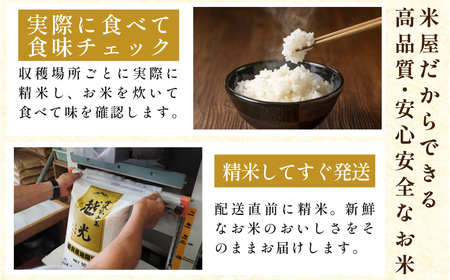 定期便 お米 特A コシヒカリ【 5kg 6回 】定期便