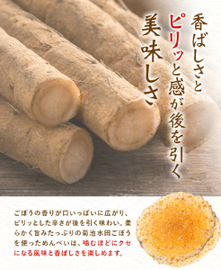 菊池めんべい 2枚入 × 6袋 × 3箱 熊本県菊池エミュー観光牧場株式会社 《30日以内に出荷予定(土日祝除く)》 熊本県 菊池市 めんべい 3箱 ギフト 贈答品 お土産 せんべい お菓子 送料無料