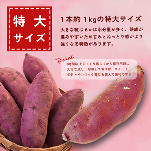 【訳あり】 【2027年1月発送】 舞鶴産 熟成さつまいも 8kg （紅はるか） 特大 紅はるか