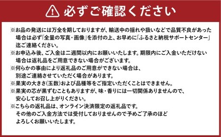 あたご梨 3～6玉 約4kg 【2026年11月下旬～12月下旬迄順次発送予定】 梨 なし ナシ 果物 フルーツ 岡山県 倉敷市