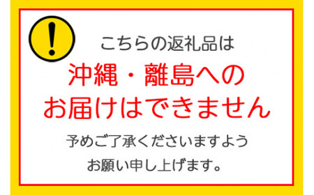 《2027年4月中旬より順次発送》栄養たっぷり！トマト農家片野さんちの完熟トマト「れおん」4kg [1152]