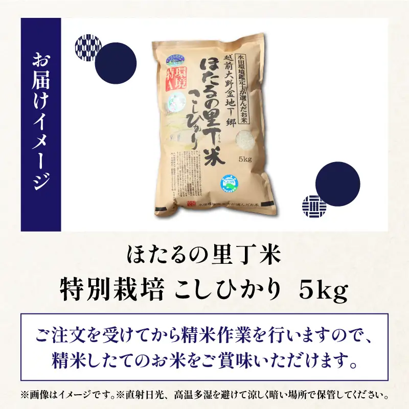 【新米予約受付中】令和8年産 特別栽培こしひかり 5kg【A-002004】