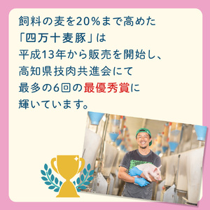 【四万十麦豚】ポークジャーキー プレーン 3パックセット ／Ahc-A29 おつまみ ジャーキー