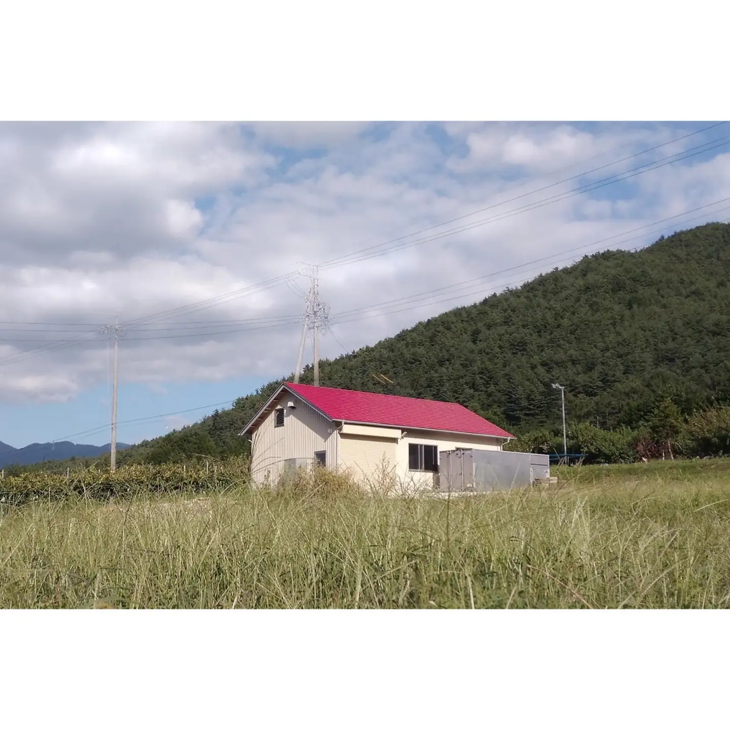 霧訪山シードル 塩尻市産コンコード100% 赤微発泡