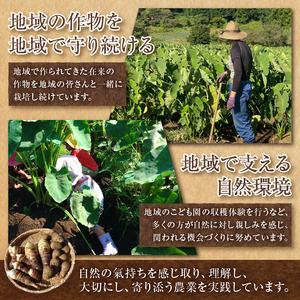 上野原産　在来もちあわ1ｋｇ　～栽培期間中農薬化学肥料不使用栽培 上野原の地形が作った雑穀の歴史～