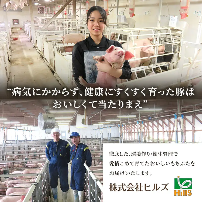 しゃぶしゃぶ 肩ロース すき焼き 200g×3 豚肉【定期便6回】