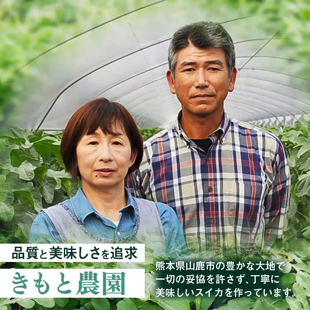 【先行予約】 山鹿の恵み! 黄肉大玉スイカ 匠の育てたムーンフラッシュ　(約8kg前後×1玉)【きもと農園】 熊本県 [ZFQ005]