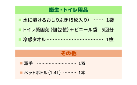 【防災士監修】緊急時の命綱 車載用防災グッズセット 1人用 防災グッズ 防災セット 防災 備蓄 災害 自然災害 地震 津波 岐阜市 / ファンズユニット[ANJO003]