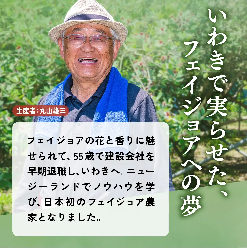 【先行予約】フェイジョア 果実 (中玉)  8個入り