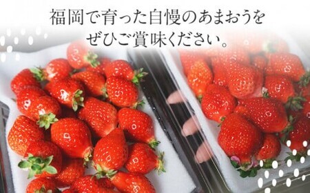 あまおう 約270g×2P 計540g 【7営業日以内発送】あまおう
