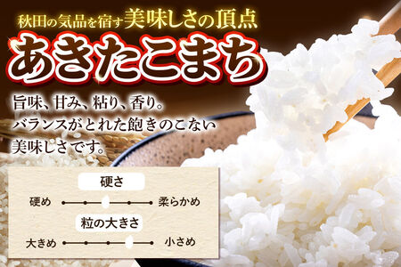 《令和8年産 新米受付》《定期便11ヶ月》米 あきたこまち 10kg（5kg×2袋）【白米】秋田県産