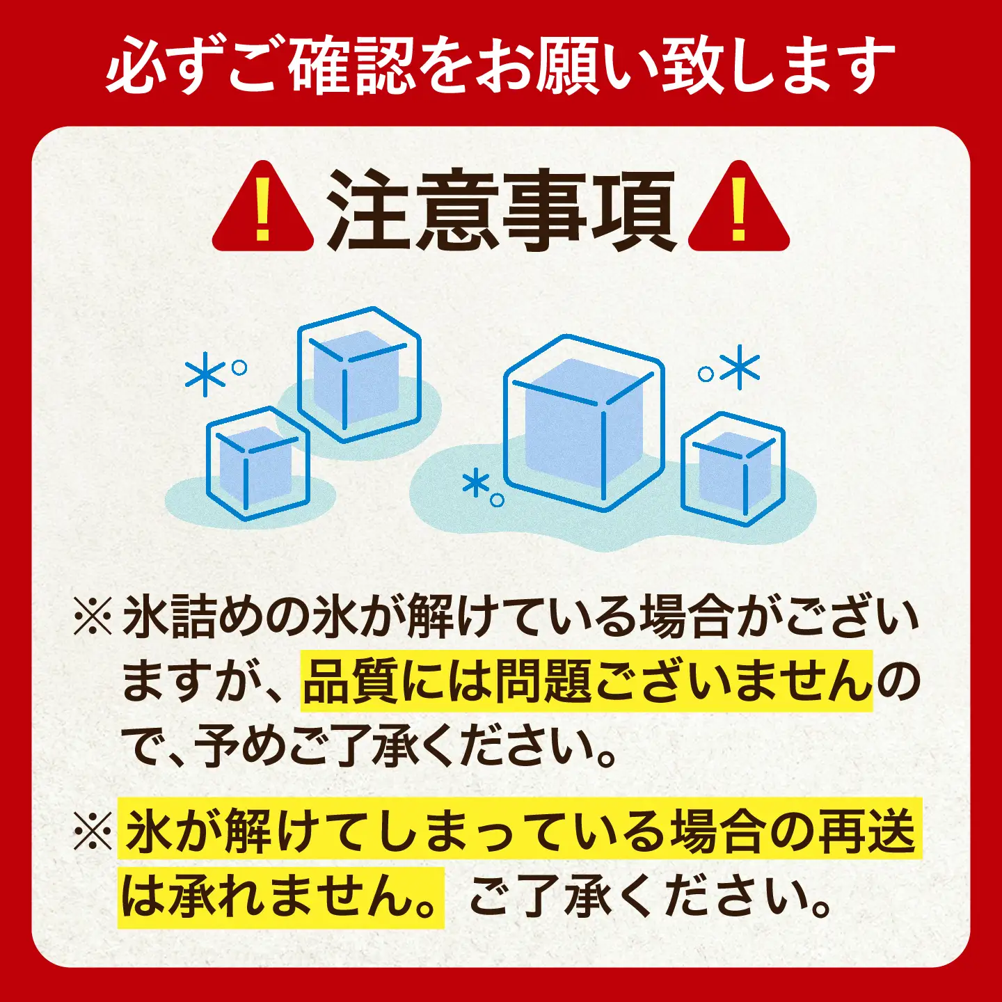 【先行予約】 氷詰めとうもろこし 恵味 10本 [BPAD004] とうもろこし