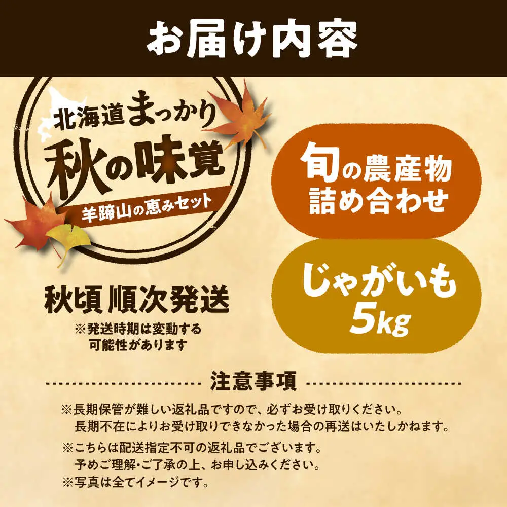【先行予約】 秋の味覚セット [BPAM001] 野菜セット 北海道