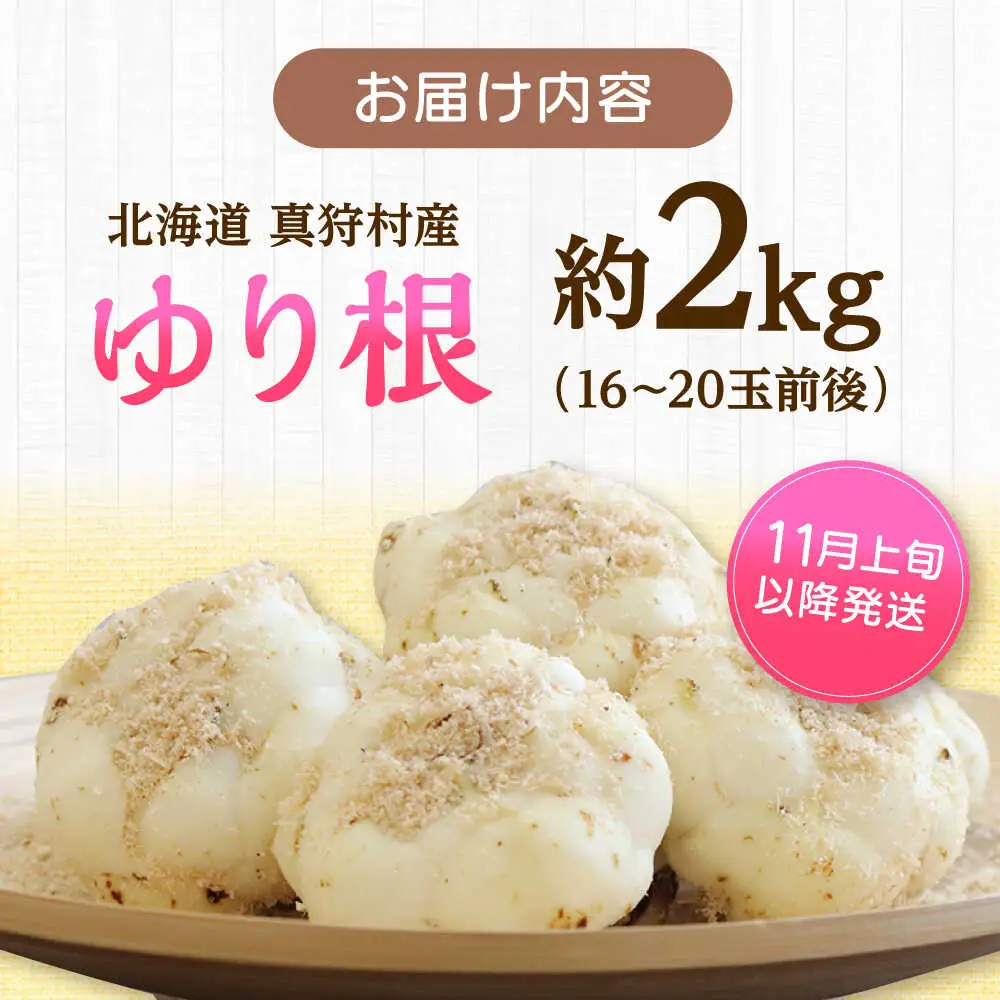【2026年11月上旬以降発送】 ゆり根 Lサイズ 約2kg | ゆり根 ゆりね 野菜 冬野菜 産地直送 北海道 | 道の駅 真狩フラワーセンター[BPAM002]