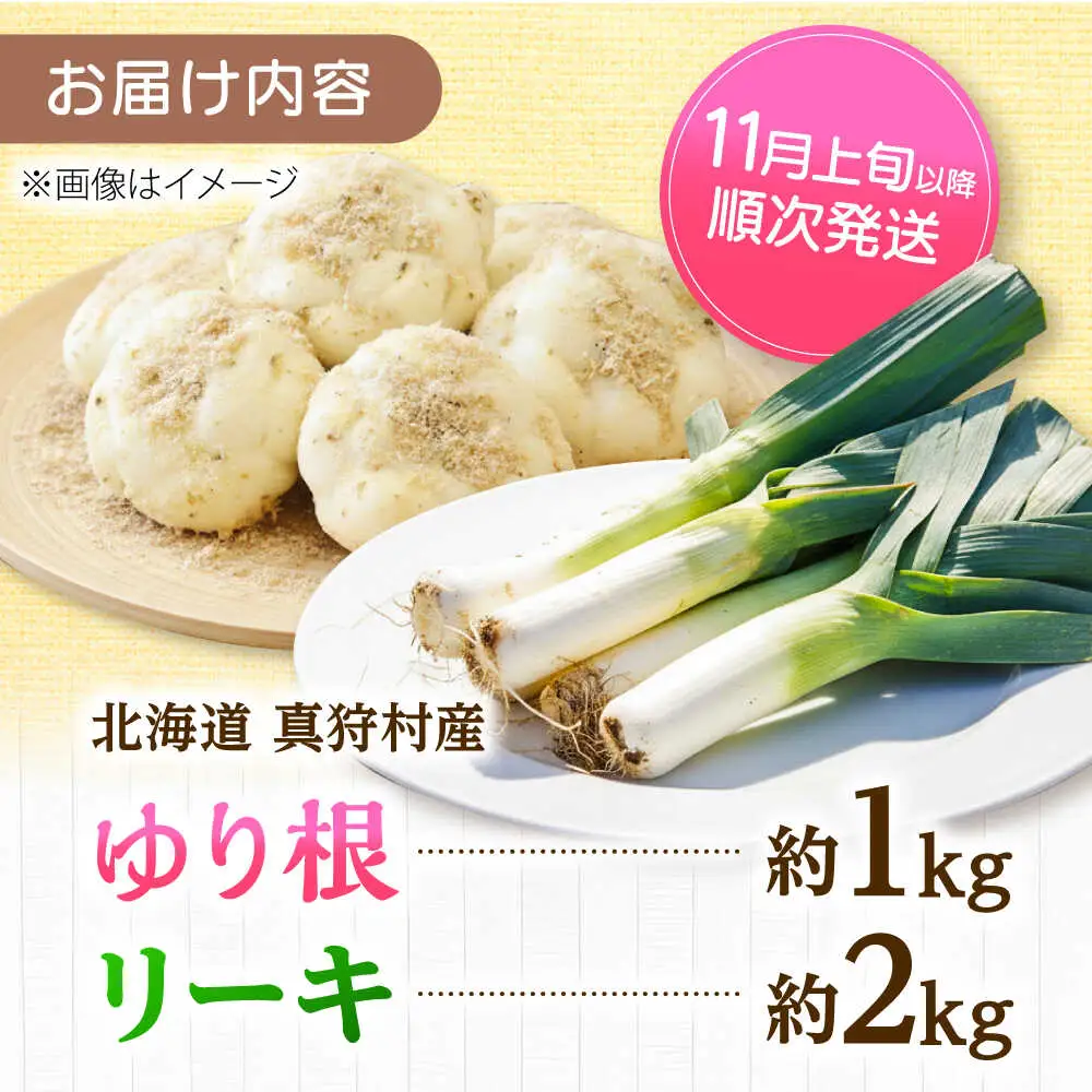 【2026年11月上旬以降順次発送】 ゆり根とリーキ  計3kg  |  ゆり根 リーキ 野菜 やさい 北海道 産地直送 |  道の駅 真狩フラワーセンター[BPAM022]