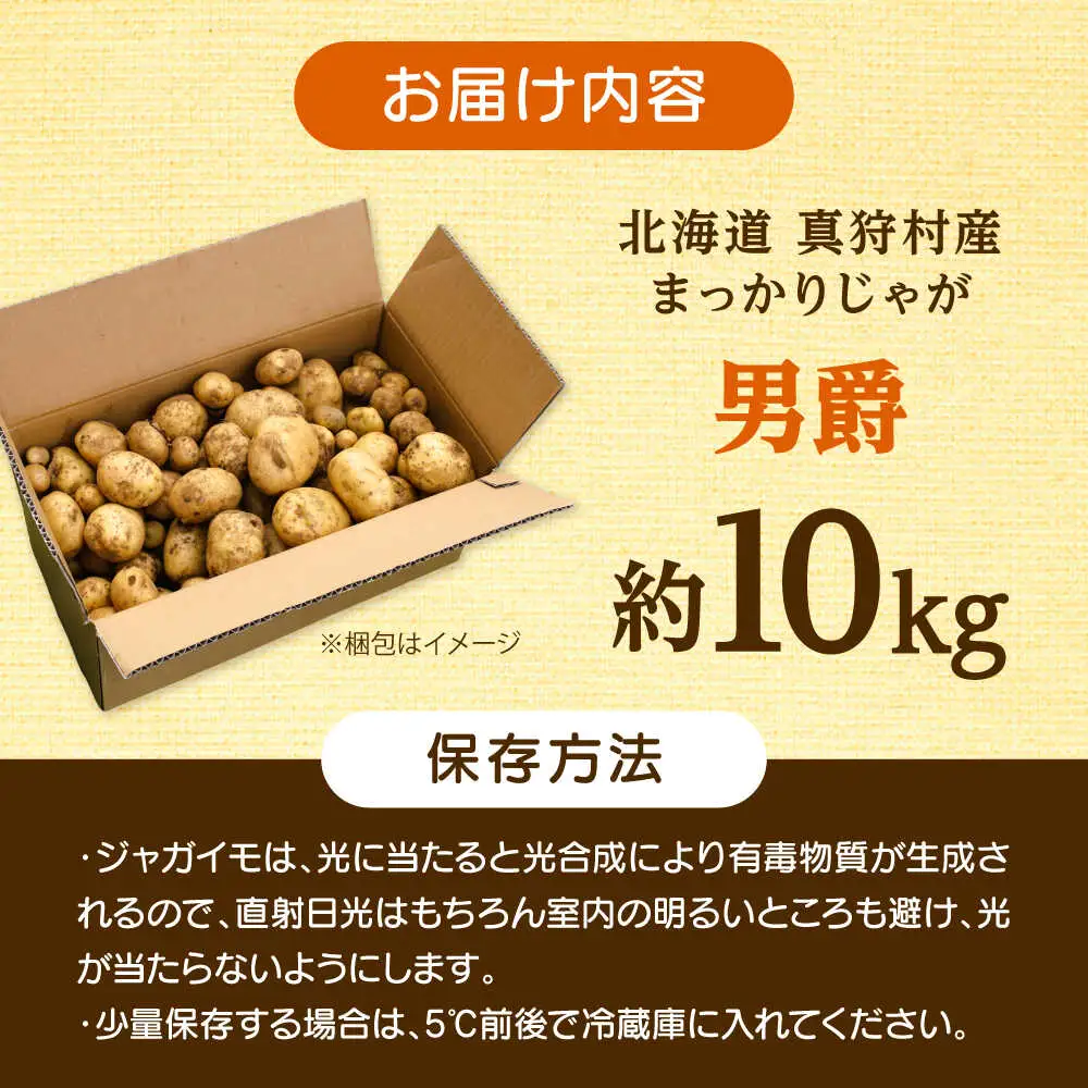 【先行予約】 じゃがいも 男爵 10kg [BPAM024] じゃがいも