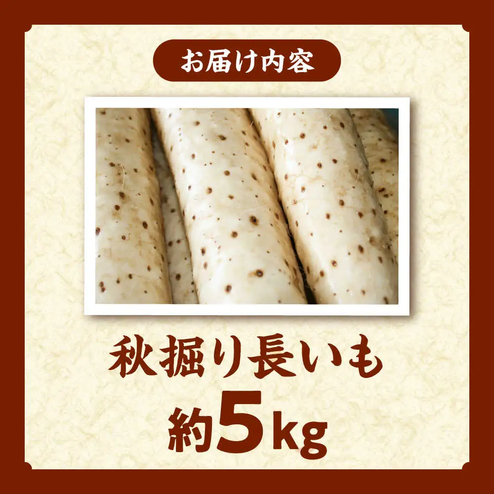 【2026年11月下旬以降順次発送】秋掘り 長いも 5kg  |  長いも 秋野菜 野菜 やさい 北海道 産地直送 |  道の駅 真狩フラワーセンター[BPAM026]